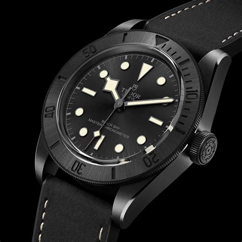 tudor black bay watch